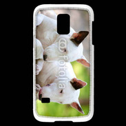 Coque Samsung Galaxy S5 Mini Chien Bull terrier anglais 1