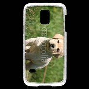 Coque Samsung Galaxy S5 Mini Mignon petit labrador