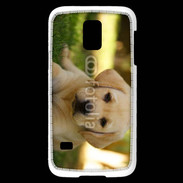 Coque Samsung Galaxy S5 Mini Chiot labrador 4