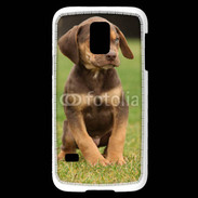 Coque Samsung Galaxy S5 Mini Chiot marron 2