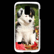 Coque Samsung Galaxy S5 Mini Adorable chiot Border collie