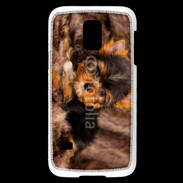 Coque Samsung Galaxy S5 Mini Chiot Yorkshire 10