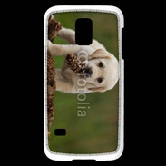 Coque Samsung Galaxy S5 Mini Chiot labrador avec pomme de pin