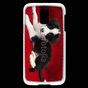 Coque Samsung Galaxy S5 Mini Chiot noir et blanc 5