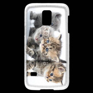 Coque Samsung Galaxy S5 Mini Groupe de chatons 7