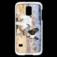 Coque Samsung Galaxy S5 Mini Bulldog français nain