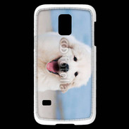 Coque Samsung Galaxy S5 Mini Chiot Golden retriever 16