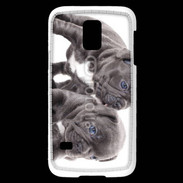 Coque Samsung Galaxy S5 Mini Duo de bulldog français 5