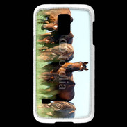 Coque Samsung Galaxy S5 Mini Groupe de chevaux