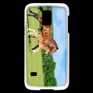 Coque Samsung Galaxy S5 Mini Cheval et poulain 2