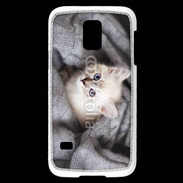 Coque Samsung Galaxy S5 Mini Chaton aux yeux bleus 10