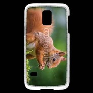 Coque Samsung Galaxy S5 Mini Ecureuil avec des noisettes
