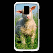 Coque Samsung Galaxy S5 Mini Portrait d'un agneau