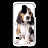 Coque Samsung Galaxy S5 Mini Chiot Beagle 50