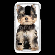 Coque Samsung Galaxy S5 Mini Chiot Yorkshire terrier 25