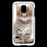Coque Samsung Galaxy S5 Mini Portrait d'un chaton 75
