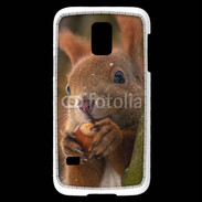 Coque Samsung Galaxy S5 Mini Portrait d'un écureuil avec une noisette