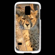 Coque Samsung Galaxy S5 Mini Jeune félin