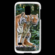 Coque Samsung Galaxy S5 Mini Famille de tigres