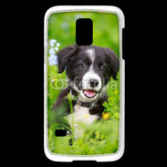 Coque Samsung Galaxy S5 Mini Chiot Border Collie 100