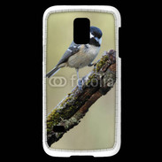 Coque Samsung Galaxy S5 Mini Oiseau sur une branche 100