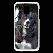 Coque Samsung Galaxy S5 Mini Border collie 500