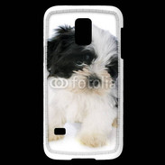 Coque Samsung Galaxy S5 Mini Chiot Shitzu 100
