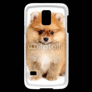 Coque Samsung Galaxy S5 Mini Chiot Spitz 15