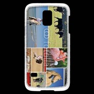 Coque Samsung Galaxy S5 Mini Beauté de la camargue