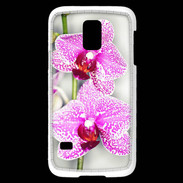 Coque Samsung Galaxy S5 Mini Belle Orchidée PR 30
