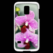 Coque Samsung Galaxy S5 Mini Belle Orchidée PR 50