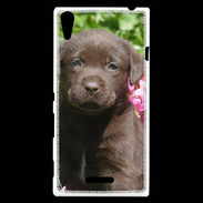 Coque Sony Xperia T3 Chien labrador chocolat 3