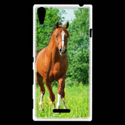 Coque Sony Xperia T3 Cheval arabe robe marron et blanche