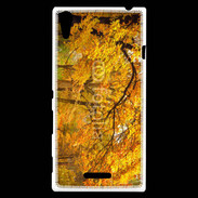 Coque Sony Xperia T3 Arbres en automne