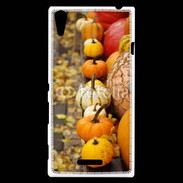 Coque Sony Xperia T3 Citrouilles