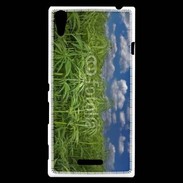 Coque Sony Xperia T3 Champs de cannabis