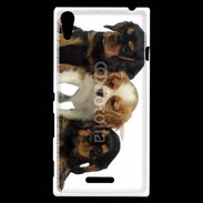 Coque Sony Xperia T3 Chiot King Charles