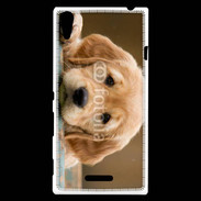 Coque Sony Xperia T3 Chiot labrador golden 2