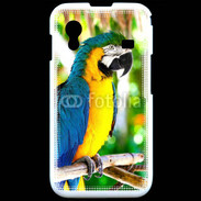 Coque Samsung ACE S5830 Portrait de perroquet 500