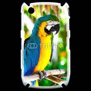 Coque Blackberry 8520 Portrait de perroquet 500