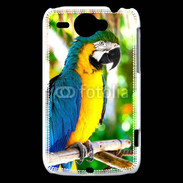 Coque HTC Wildfire G8 Portrait de perroquet 500