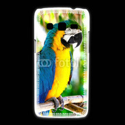 Coque Samsung Galaxy Express2 Portrait de perroquet 500