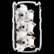 Coque Blackberry 8520 Trio de chiot Terrier