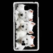 Coque LG F5 Trio de chiot Terrier