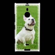 Coque Nokia Lumia 1520 Bulldog français 500