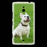 Coque Nokia Lumia 1320 Bulldog français 500