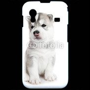 Coque Samsung ACE S5830 Chiot Husky Sibérien 500