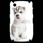 Coque Blackberry 8520 Chiot Husky Sibérien 500