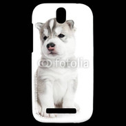 Coque HTC One SV Chiot Husky Sibérien 500