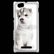 Coque Sony Xperia M Chiot Husky Sibérien 500